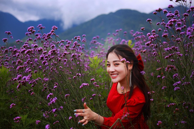 Cảnh thi&ecirc;n nhi&ecirc;n đẹp như cổ t&iacute;ch của c&aacute;nh đồng hoa thu h&uacute;t đ&ocirc;ng du kh&aacute;ch đổ về check-in, chụp ảnh. Đ&acirc;y cũng đang l&agrave; điểm du lịch