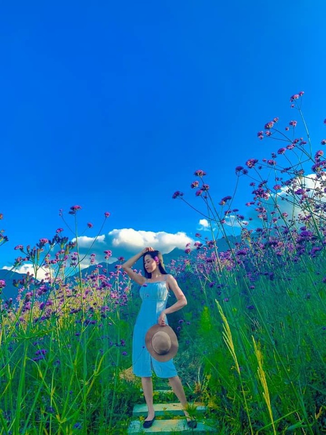 Đứng ở bất cứ khung h&igrave;nh n&agrave;o, du kh&aacute;ch cũng dễ d&agrave;ng c&oacute; được những bức ảnh đẹp