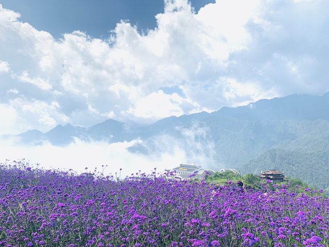 Hiện Sa Pa đang thực hiện chương tr&igrave;nh k&iacute;ch cầu du lịch với sự tham gia của hơn 80 đơn vị, doanh nghiệp, nh&agrave; h&agrave;ng, kh&aacute;ch sạn. Du kh&aacute;ch đến Sa Pa thời điểm n&agrave;y sẽ nhận được những ưu đ&atilde;i chưa từng c&oacute;. Gi&aacute; ph&ograve;ng c&aacute;c cơ sở lưu tr&uacute; 3-5 sao giảm s&acirc;u từ 10-65%, gi&aacute; xe du lịch giảm 20-30%, nh&agrave; h&agrave;ng ăn uống từ 10-20%.