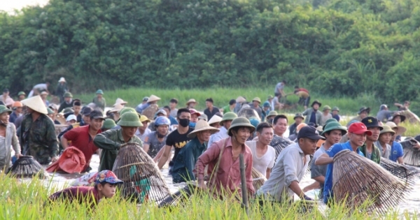 Sau tiếng hú lớn cả ngàn người lao xuống đầm Vực đánh cá, săn lộc