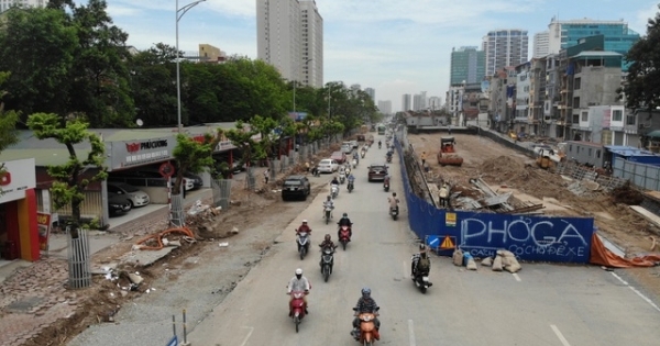 Hà Nội: Lắp camera, bọc sắt bảo vệ 34 cây sưa đỏ “đắt hơn vàng”