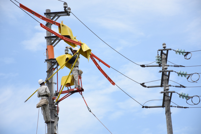 1d1e90b618b7e5e9bca6 (1)