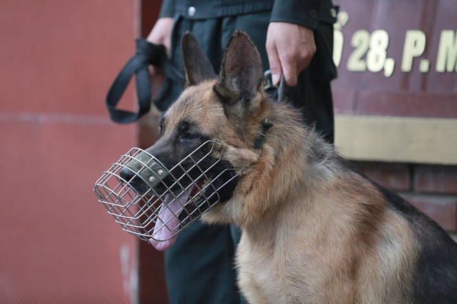 Bố nạn nhân kiến nghị không tử hình 6 kẻ hiếp, giết con vì chủ mưu chưa bị bắt? - ảnh 4