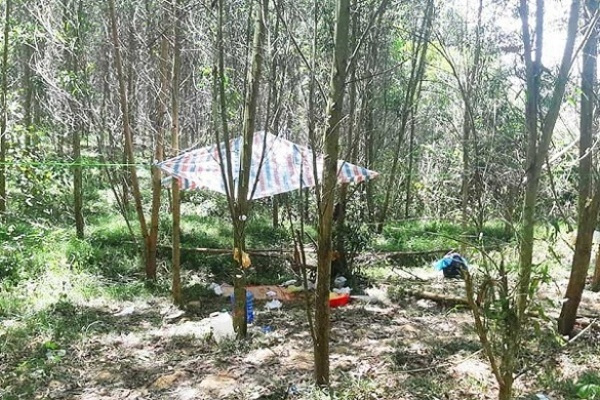 khoi-to-nam-sinh-lop-11-sat-hai-be-trai-5-tuoi-o-nghe-an