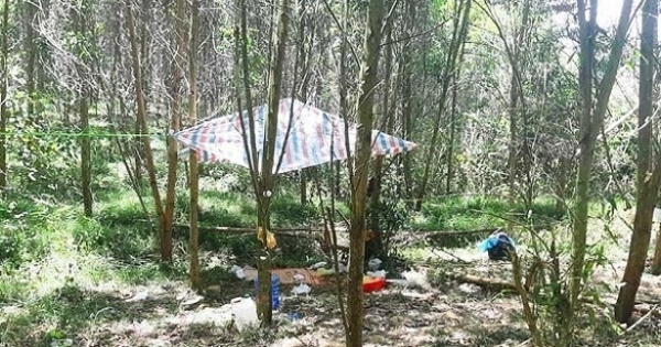 Khởi tố, bắt giam nam sinh lớp 11 sát hại bé trai 5 tuổi vì ảo giác game