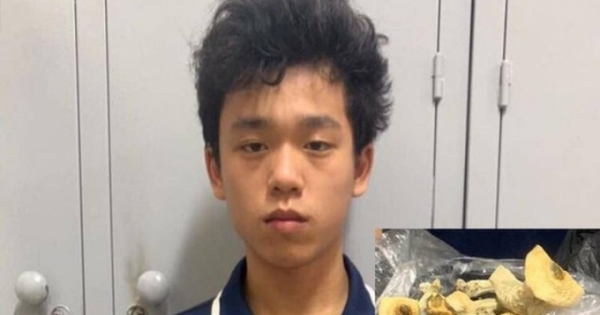 Từ nam sinh giỏi trở thành tội phạm vì... nấm ma túy