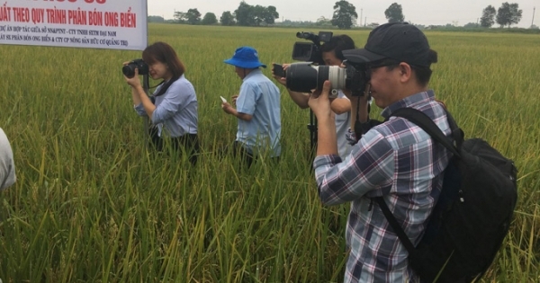 Tôn vinh danh hiệu Nhà nước đối với nhà báo: Mong ước không xa