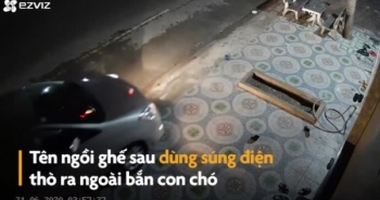 [Clip]: Phẫn nộ cảnh nhóm người đi ô tô để... trộm chó