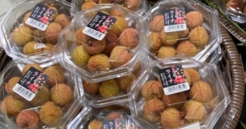 Chuyện lạ mùa vải thiều: Quả tươi nửa triệu đồng/kg, hạt cũng tiền triệu