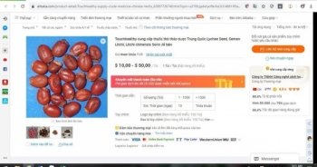 Chợ online quốc tế rao bán hạt vải thiều giá khủng