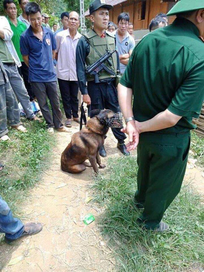 received_665012907411913.