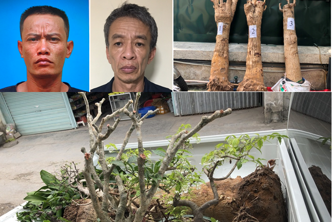 C&aacute;c đối tượng v&agrave; tang vật vụ &aacute;n