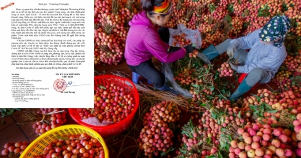 Bắc Giang hỏa tốc xin phép Thủ tướng Chính phủ tạo “làn xanh” để vận chuyển vải thiều