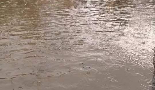 Nghệ An: Mưa to cục bộ, thị trấn Mường Xén ngập trong nước