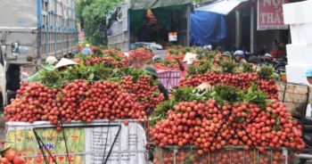 Bắc Giang xuất khẩu vải thiều sang Campuchia