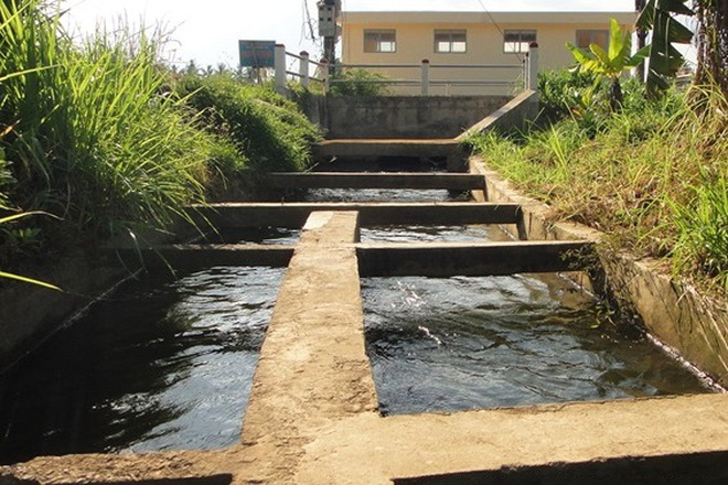 Trạm bơm nước chủ lực Định Trị được xây dựng phía trên đập ngăn mặn Lại Giang lấy nước phục vụ cho hơn 500ha diện tích sản xuất lúa tại 9/11 thôn của xã Hoài Mỹ.