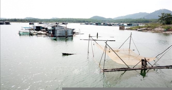 Hướng đi mới cho việc phát triển kinh tế trên lòng hồ