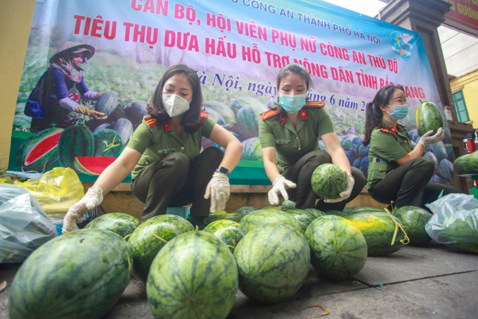 Toàn bộ việc thu mua, vận chuyển được thực hiện theo đúng quy định phòng, chống dịch, đảm bảo sức khỏe cho người tiêu dùng.