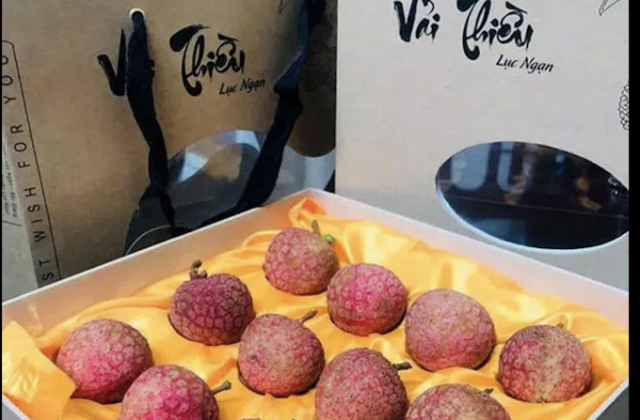 Biznews: Vải thiều của Bắc Giang được bảo hộ nhãn hiệu tại 8 Quốc gia