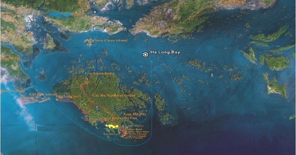 Nợ phải trả hơn 13.804 tỷ đồng, Vinaconex huy động 2.200 tỷ đồng trái phiếu cho dự án ở Cát Bà