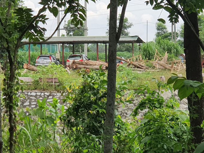 Những cây gỗ nguyên chưa được bóc tập kết ngổn ngang trong khuôn viên nhà máy