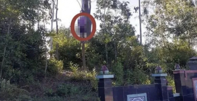 33874BE1-9880-462D-A944-0E876415B3D7.