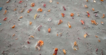 Hàng nhìn thi thể bọc vải được phơi bày sau màn mưa lớn