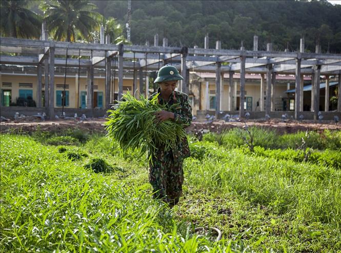 trung-doan-152-1762021