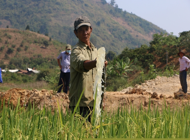 Thanh tra công trình thuỷ lợi thiết kế theo kiểu “trời ơi”