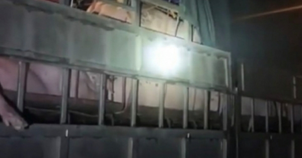 Quảng Ninh: Phát hiện gần 20 người trốn chốt kiểm soát dịch bệnh trên 5 xe tải chở lợn