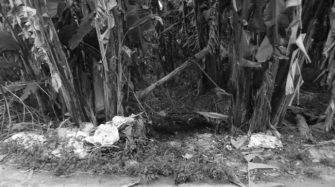 4112228213c0fa9ea3d1