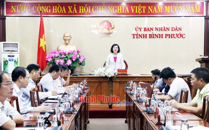 Phó chủ tịch UBND tỉnh Trần Tuyết Minh phát biểu tại cuộc họp