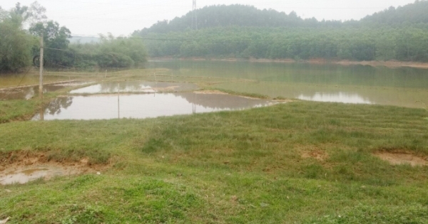 Nghệ An: Tiến độ sản xuất lúa hè thu chậm