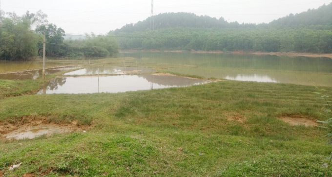 image_8178499_2642021