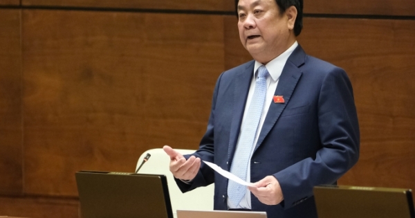 Cần bình ổn giá nguyên liệu thức ăn chăn nuôi