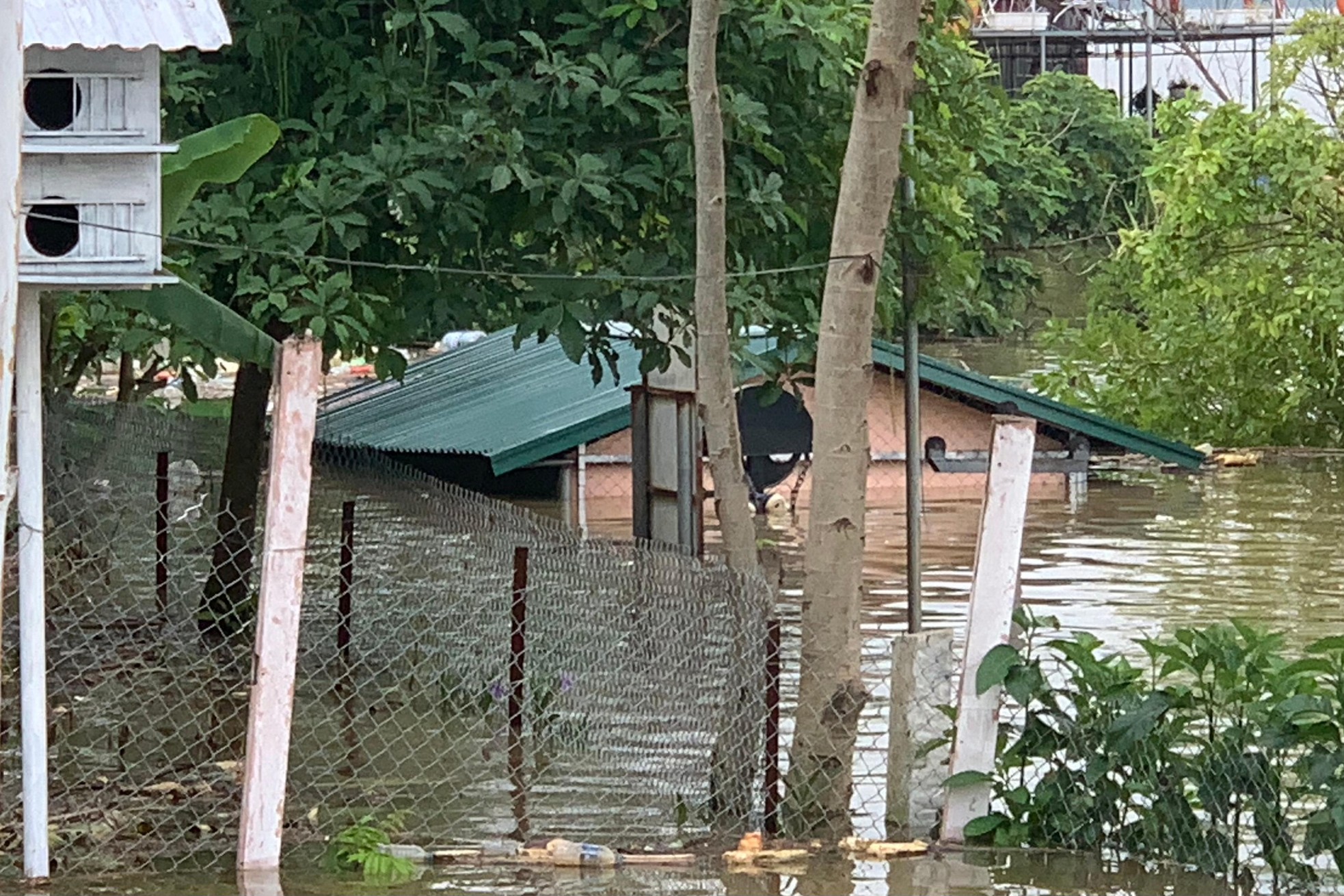 Thủy điện H&ograve;a B&igrave;nh xả lũ, b&atilde;i giữa s&ocirc;ng Hồng ngập s&acirc;u, người d&acirc;n Thủ đ&ocirc; d&ugrave;ng đ&ograve; qua đường ảnh 14