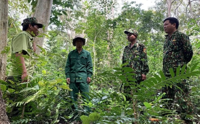 Ngoài áp lực công việc, còn có nguyên nhân thu nhập thấp và công việc đối mặt với nguy hiểm tới tính mạng khiến nhiều cán bộ Kiểm lâm xin nghỉ việc, chuyển công tác khác. (Ảnh: Công Lý)
