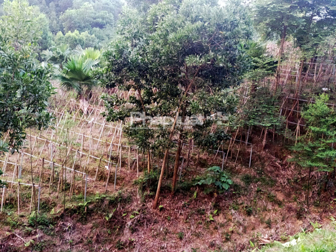 d408148b0788c4d69d99