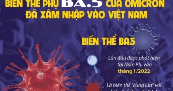 Biến thể phụ BA.5 của Omicron đã xâm nhập vào Việt Nam