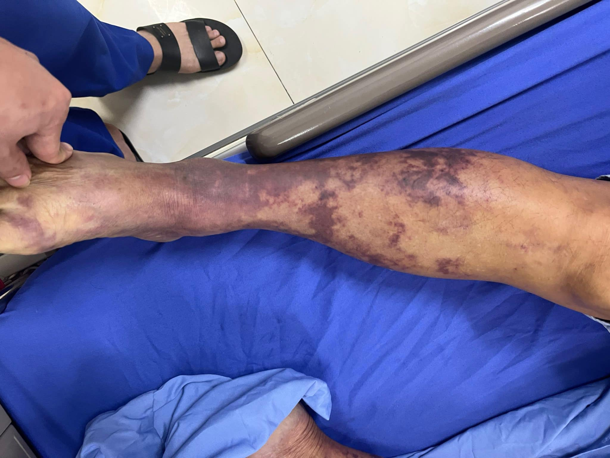 350260189_777838403721602_8162914904988997309_n