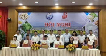 35 hợp đồng được ký kết tại Hội nghị cung ứng sản phẩm giữa doanh nghiệp Tây Ninh và Saigon Co.op