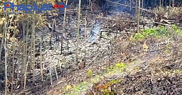 Yên Bái: Xót xa cảnh tượng nhiều ha rừng đầu nguồn bị huỷ hoại không thương tiếc