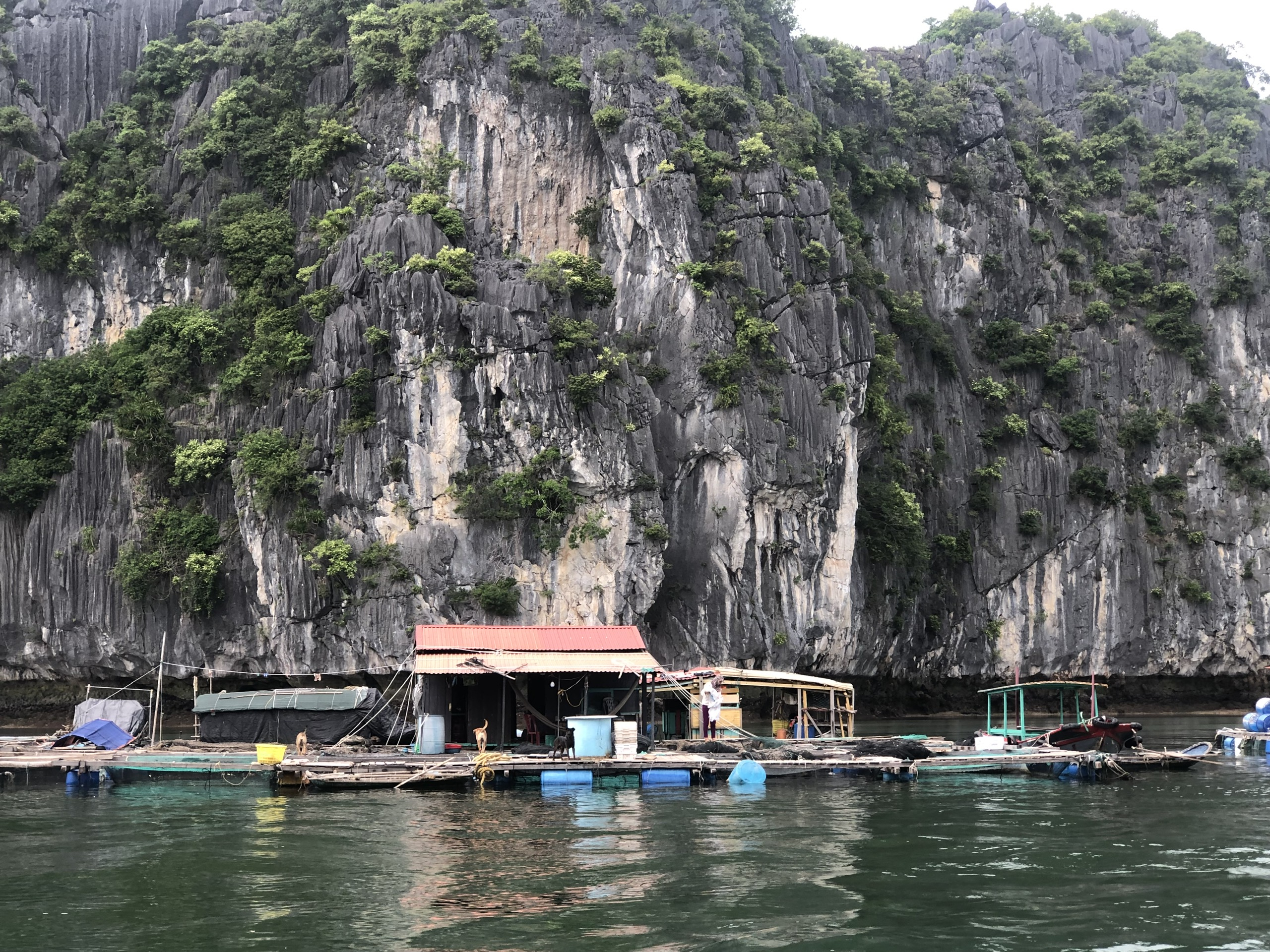 Lồng bè nuôi trồng thuỷ sản trên các vịnh quần đảo Cát Bà