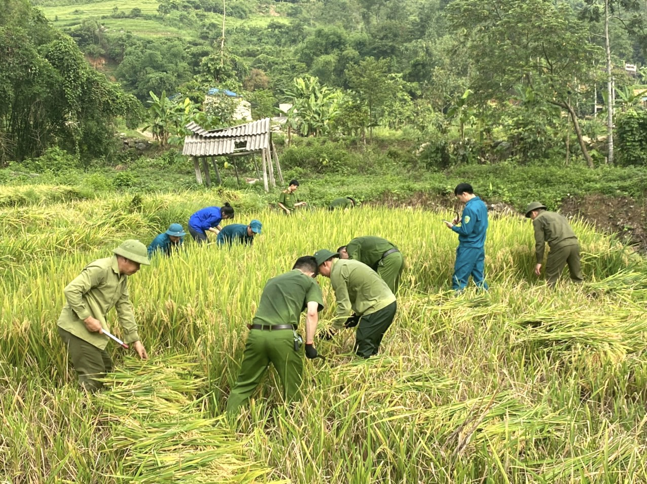 9077F667-B359-4CB8-A99E-ADD30595C4DF.