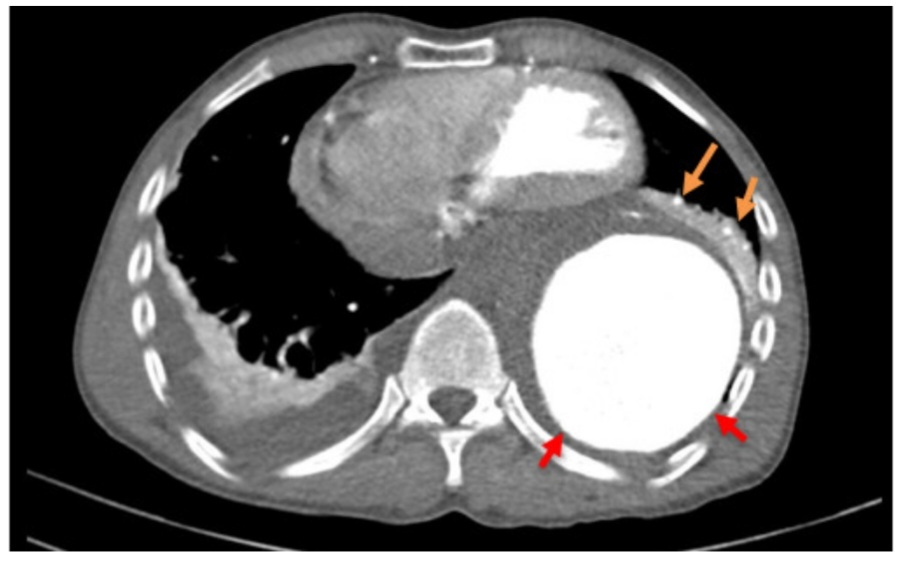 Screenshot_20230618_072436_Word