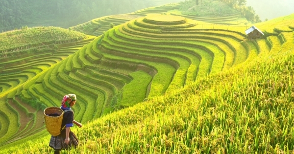 Tổng cục Du lịch sẽ đổi tên thành Cục Du lịch quốc gia Việt Nam