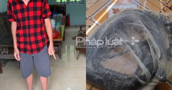 Hà Giang: Tạm giữ đối tượng vận chuyển rắn hổ mang chúa