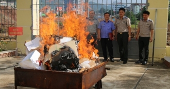 Sơn La: Tiêu huỷ hơn 31kg ma tuý