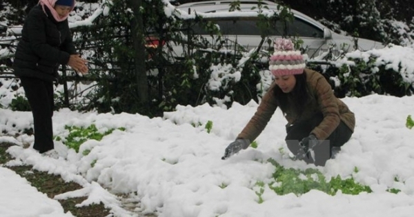 Việt Nam có thể xuất hiện hiện tượng La Nina vào cuối năm?