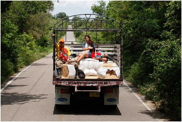 H&igrave;nh ảnh trong phim Con đường trắng.